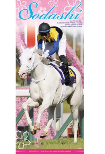 소다시 벚꽃상 타월 마네키마