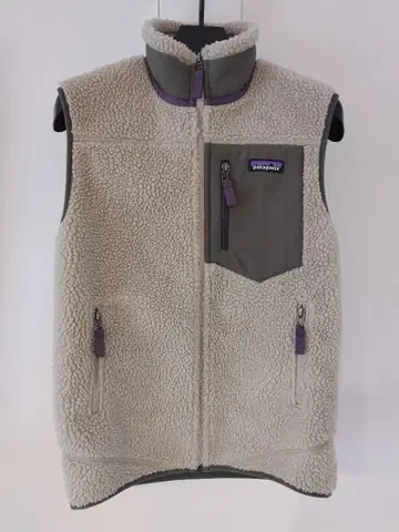 Patagonia 레트로X 플리스 베스트 파타고니아