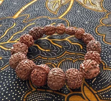 루드라크샤 팔찌 2~10면 & 가네샤 10면, 0면