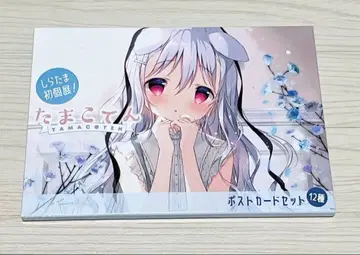 시라타마 시라타마코 엽서 세트 하얀 강아지