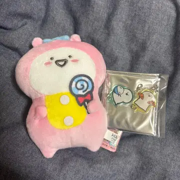 오분구와 함께 오분구 씨 묶음 판매