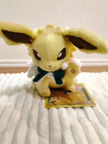 이브이 컬렉션 썬더 봉제 인형