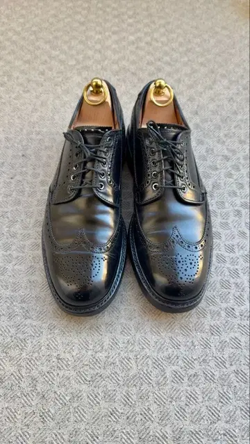 ALDEN 31851 윙 칩 7.5 코도반 발리