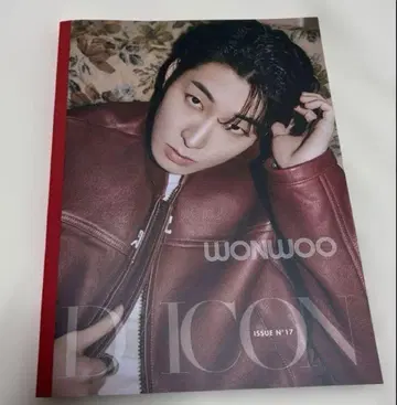 SEVENTEEN 세부치 원우 DICON ISSUE