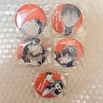 카게야마 토비오 하이큐 올스타 캔뱃지 쓰레기장의 결전 한정 수주