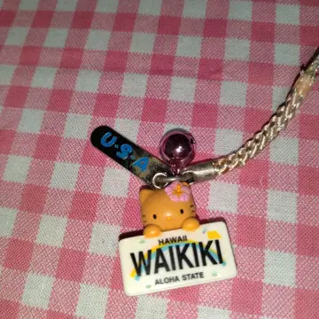 지역 한정 키티 하와이 한정판