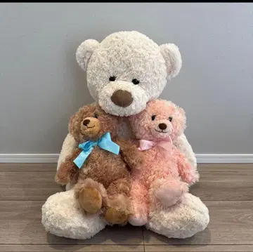 곰 봉제 인형 세트