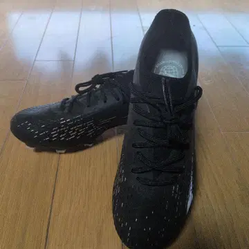 PUMA 울트라 얼티밋 FG/AG 롱 파일