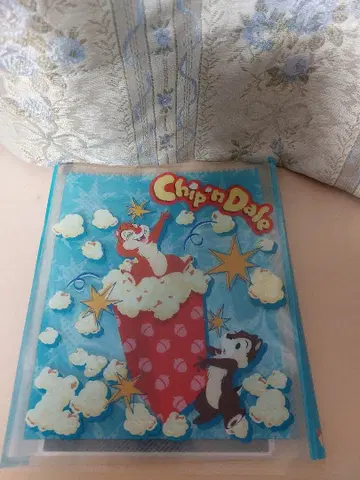 2005년 제조 칩과 데일 사진 액자 도쿄 디즈니리조트 한정판