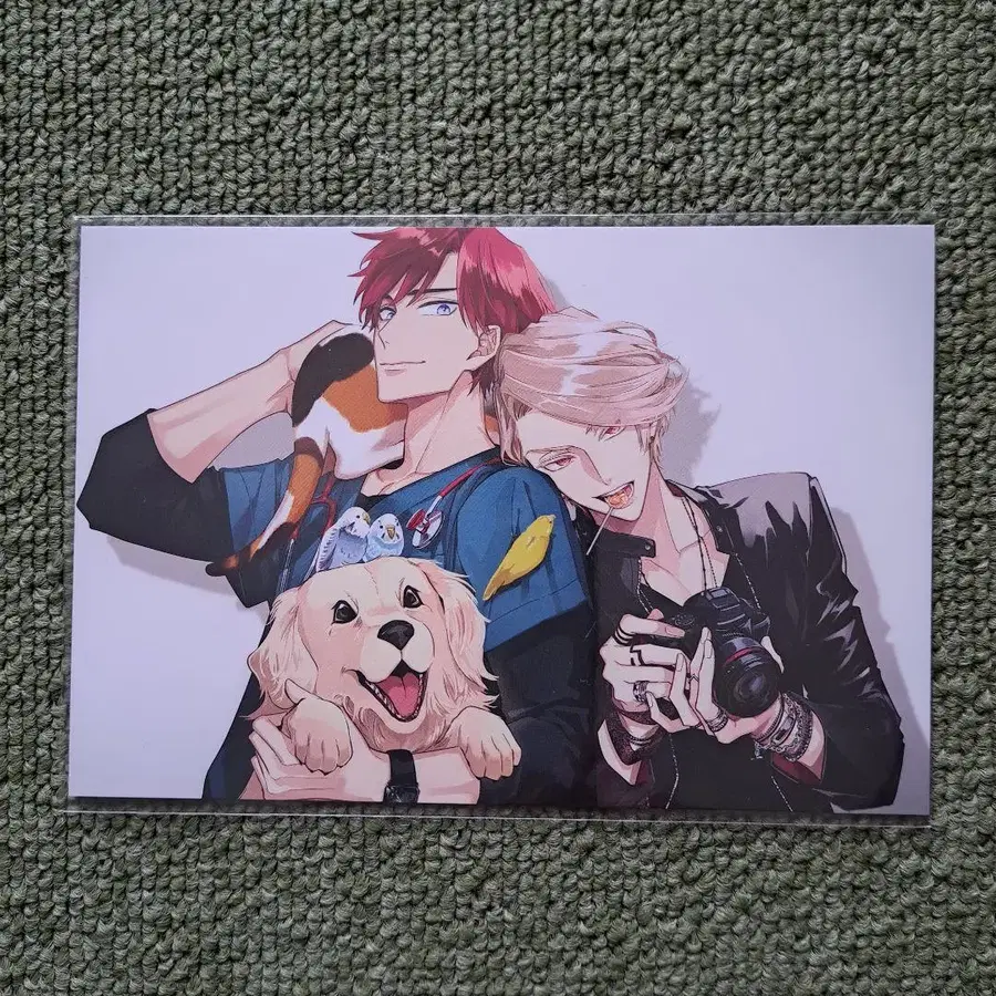 6번째 상품 이미지