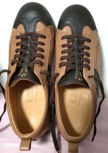 베네슈 BENESU 천연 가죽 스니커즈 24cm 브라운