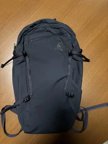 GREGORY 레이븐 12 백팩