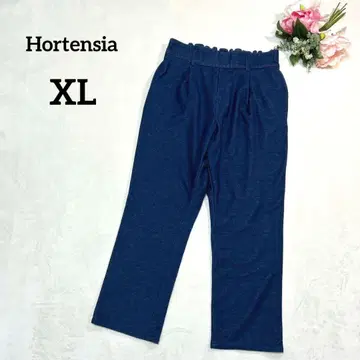 호르텐시아 스트레치 팬츠 XL 블루 허리밴딩 캐주얼 019