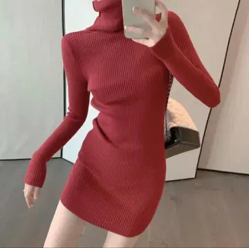 [ 와인 레드 ] 여성용 긴팔 미니 기장 리브 니트 터틀넥 원피스