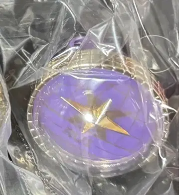 프로세카 링 라이트 카미시로 루이 세카라이 5th