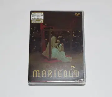 뮤지컬 [ 마리 골드 ] [초회생산 DVD]