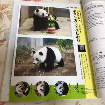 샹샹 엽서, 달력 세트 잡지 부록