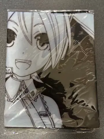 하츠네 미쿠 어디든지 런드리 백