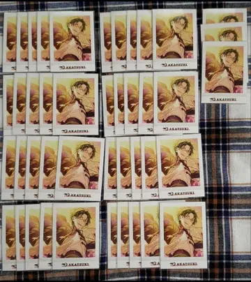 하스미 케이토 앙스타 파샤코레