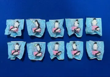 SUICA 펭귄 병뚜껑 전 5종 세트 x 2