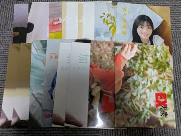 히나타자카46 클리어 파일 포스터