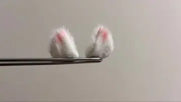 고양이 귀 TinyFox 유SD 1/6 인형 사이즈