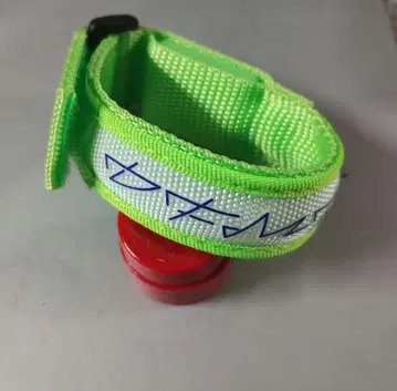 립 슬라임 블레스라이트 녹색/그린