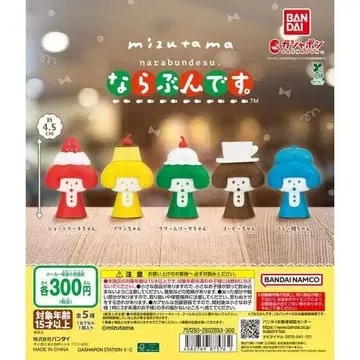 mizutama 나란히 세트 전 5종