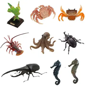 9개 세트 일본의 생물 네이처 테크니컬러 생물대도감 키탄클럽