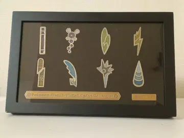 포켓몬 블랙2 화이트2 BW2 배지 컬렉션