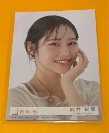 사쿠라자카46 무카이 이토하 브로마이드 Addiction 봉입 요리