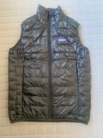 patagonia 다운 베스트