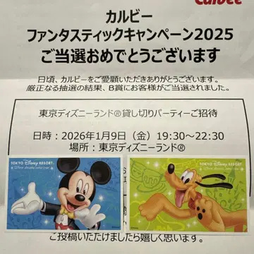 디즈니랜드 대관 파티