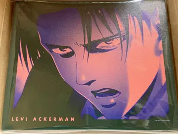 진격의 거인 리바이 paleful 캔버스 보드