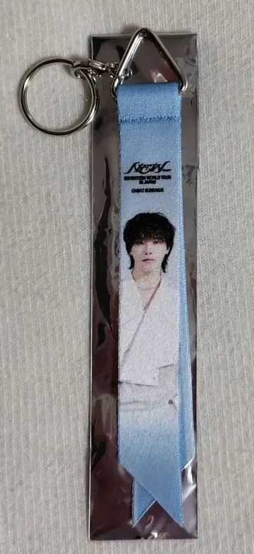 SEVENTEEN 세부치 본핀 키링 디노 DINO