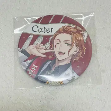 트위스테 꾸미기 벌스데이 캔뱃지 케이트