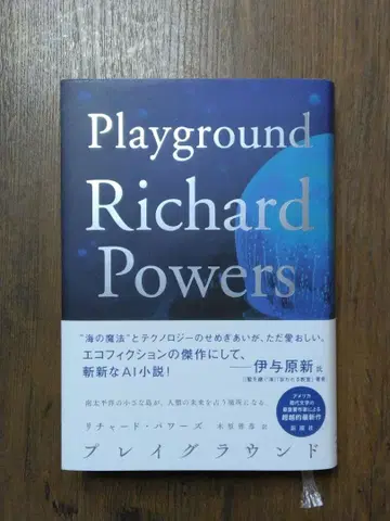 플레이그라운드 리차드 파워즈 Playground 키하라 요시히코 신초샤