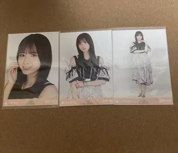 노기자카46 사메넘버스 브로마이드 스가와라 사츠키 컴프