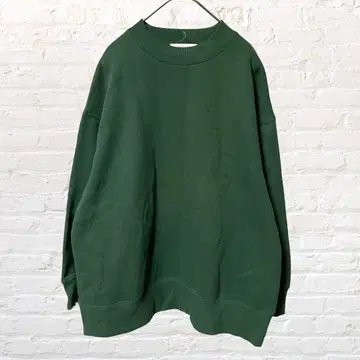 11173 any FAM 긴팔 맨투맨 트레이닝복 그린 속기모 그린 무지