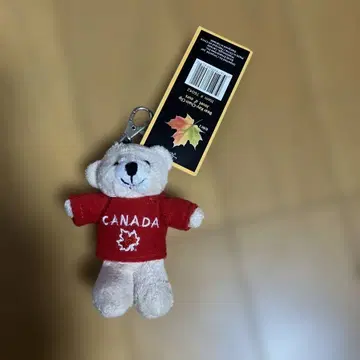 캐나다 스웨터를 입은 곰 마스코트