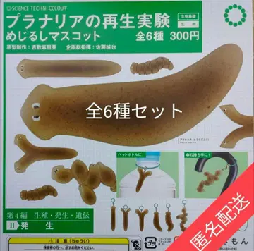 STC 플라나리아 재생 실험 메지루시 마스코트 전 6종 세트