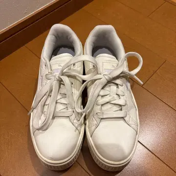 푸마 통굽 스니커즈