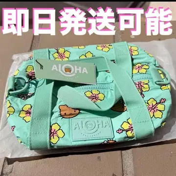 알로하 컬렉션 키티 미니미니 더플백 하와이 일광화상 키티 DFS