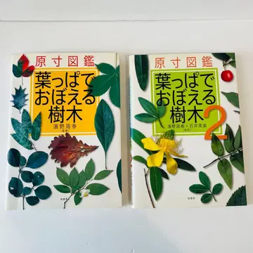 잎으로 배우는 수목 2권 원척 도감