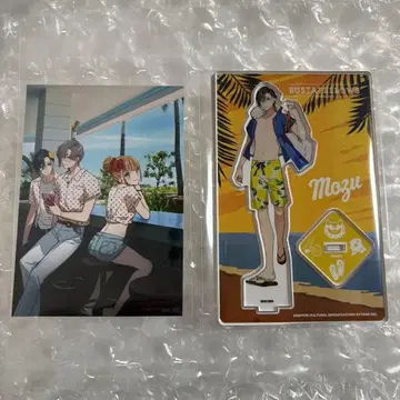 모즈 아크릴 스탠드 브로마이드