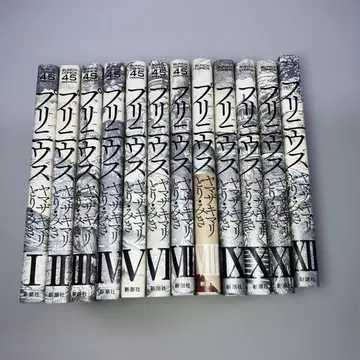 프리니우스 전 12권