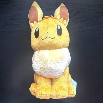 포켓몬스터 이브이 M