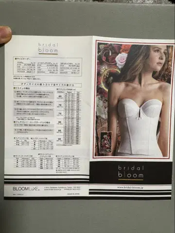 브라이덜 블룸 브라이덜 이너 G65 모카 그레이 뷔스티에 롱 거들