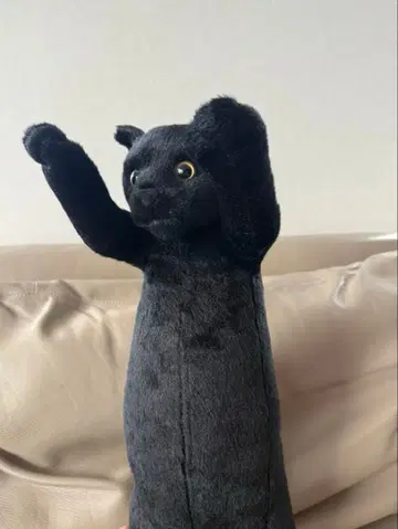 타치이zoo 냥코 검은 고양이