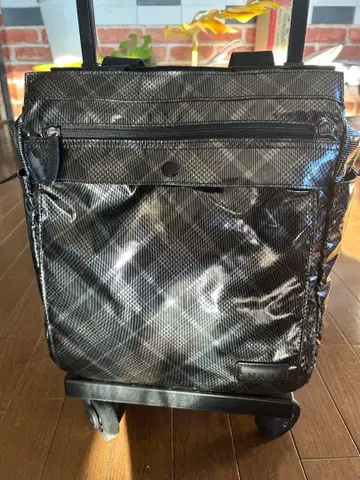 SWANY 블랙 체크 무늬 캐리온 백